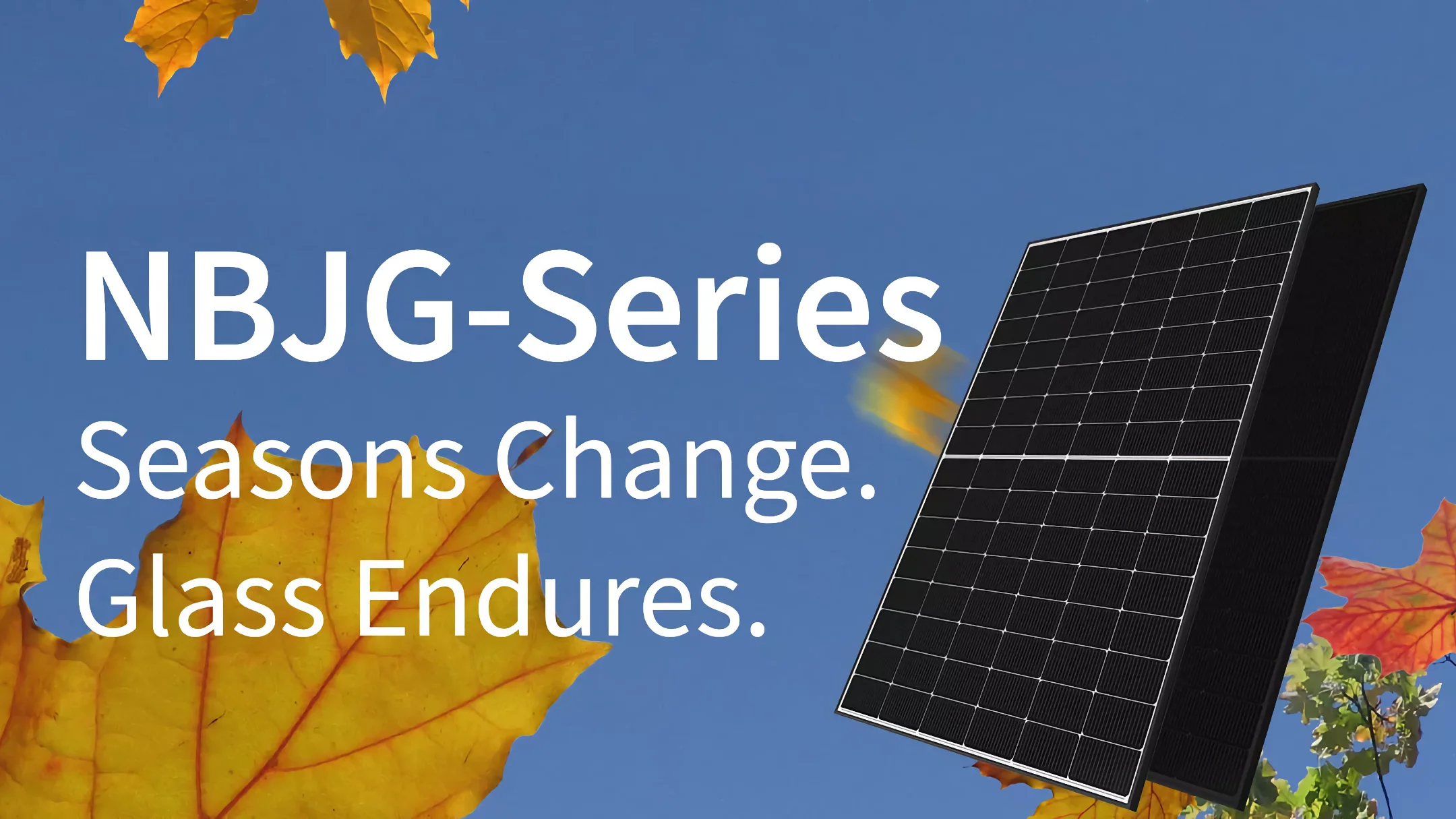 Двулицеви модули за покрива